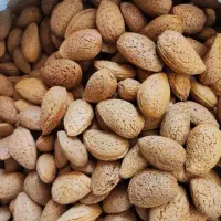 بادام سنگی|خوردنی و آشامیدنی|تهران, ایرانشهر|دیوار