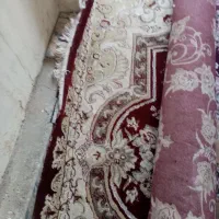 فرش دوازده متری|فرش|دزفول, |دیوار