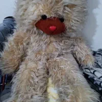 خرس بزرگ