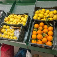 استند میوه|حراج|کرج, خرمدشت|دیوار