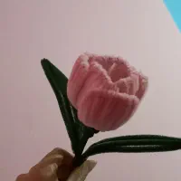 گل مخملی و روبانی