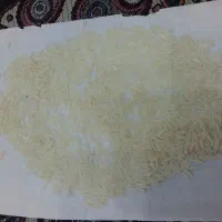 برنج طارم هاشمی اصل فریدونکنار عمده و خرده|خوردنی و آشامیدنی|بابلسر, |دیوار