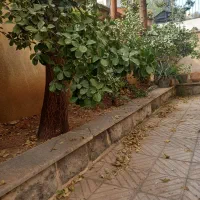 نارمک-51-متر-36-متر-حیاط-اختصاصی-10-متر-تراس