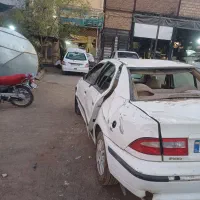 سمند چپی