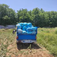 حمل بارنیسان|خدمات حمل و نقل|همدان, |دیوار