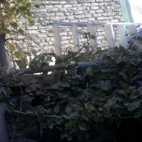 حراجی وسایل  موحود|حراج|قوچان, |دیوار