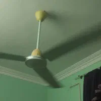پنکه ژاپنی اصل