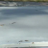 پژو مدل ۹۰|خودرو سواری و وانت|اراک, |دیوار