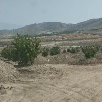 باغچه باغ مقصودآباد جهرم|فروش دفتر صنعتی، کشاورزی، تجاری|جهرم, |دیوار