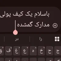 کیف مدارک گمشده