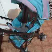 ۲ عدد کالسکه