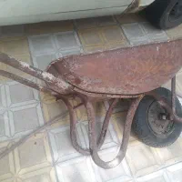 فرغون