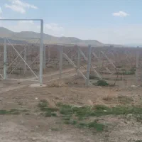 فنس کشی|خدمات باغبانی و درختکاری|همدان, |دیوار