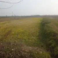 بیجار-مزرعه