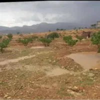 انجیرستان