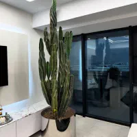 اجاره-واحد-تجاری