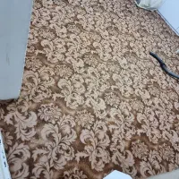 موکت ارزان درحد نو|موکت|مشهد, نوید|دیوار