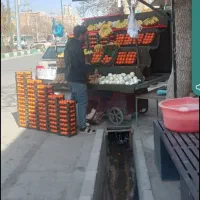 چرخ میوه فروشی