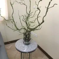 گل  و رومیزی فنجان انگشتر مینیمال وبسیار زیبا وخاص