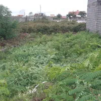 زمین با سند تک برگ در بلوار شهید افتخاری|فروش زمین و ملک کلنگی|رشت, عینک|دیوار