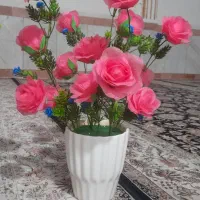 گل زیبا|گل و گیاه طبیعی|کوهدشت, |دیوار