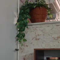 گل وگلدان|گل مصنوعی|قم, دروازه چوبی|دیوار