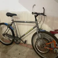 دوچرخه خوش قیمت دماوند