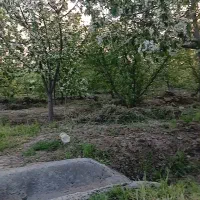 باغ ۶۰۰ متر