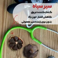 سیرسیاه|حراج|قم, انسجام|دیوار