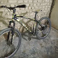 دوچرخه|دوچرخه، اسکیت، اسکوتر|کلاله, |دیوار