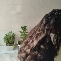 شرکت کلاه گیس لرستان.دورود.