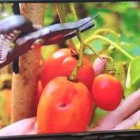 تلویز یون ال ای دی 42اینج