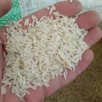 برنج طارم هاشمی