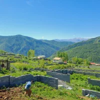 فروش زمین داخل بافت در دو قسط|فروش زمین و ملک کلنگی|آلاشت, |دیوار