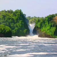 برگزاری تور اوگاندا در ایام نوروز