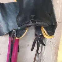 یک عدد زین و یه سر کلگی کامل|اسب و تجهیزات اسب‌سواری|اصفهان, قهجاورستان|دیوار