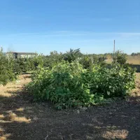 ۱۰۰۰متر زمین با امتیاز|فروش زمین و ملک کلنگی|طبقده, |دیوار