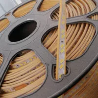 ریسه شلنگی افتابی