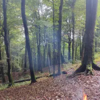 بریم دور بزنیم