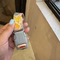 قلاده گردنی سگ|لوازم جانبی حیوانات|کرمان, |دیوار