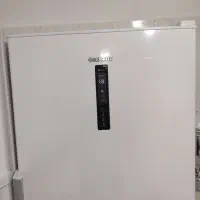 یخچال دو قلو