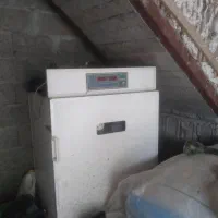 دستگاه جوجه کشی نوین خزر 504درحد نو