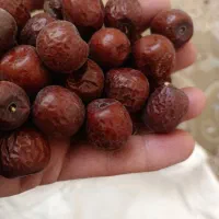 فروش کلی و جزئ عناب در بیرجندومشهد|خوردنی و آشامیدنی|مشهد, شهید بهشتی|دیوار