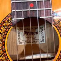 گیتار پرینس|گیتار، بیس، امپلیفایر|تهران, شهرک بوعلی|دیوار