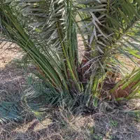 حاجی آباد|موبایل|حاجی آباد, |دیوار