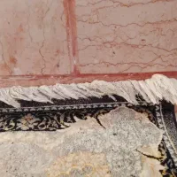 فرش 9متری نگین مشهد با تخفیف|فرش|رباطکریم, رباطکریم|دیوار