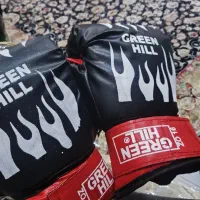 دستکش بوکس|تجهیزات ورزشی|ری, علایین|دیوار