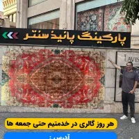 قالی شرابی رنگ ابریشمی|فرش|تهران, هروی|دیوار