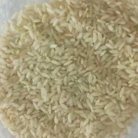 برنج کامفیروزی امساله درجه ۱|عمده‌فروشی|خرامه, |دیوار