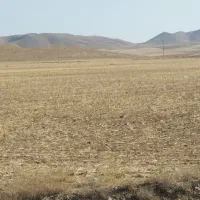 زمین دیم|فروش دفتر صنعتی، کشاورزی، تجاری|کبودرآهنگ, |دیوار